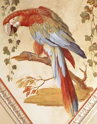 Un perroquet (murale)